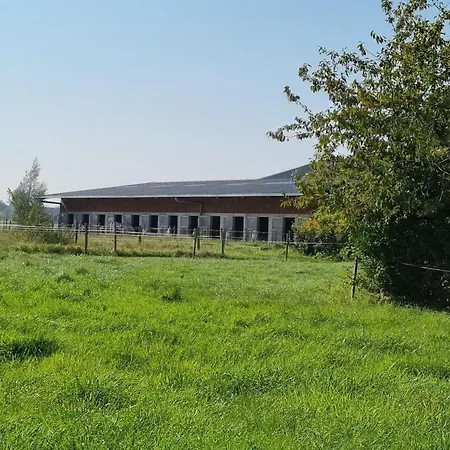 Hébergement de vacances Au Calme Avec Jardin, Wifi Et Parking Près De Lille - Fr-1-510-222