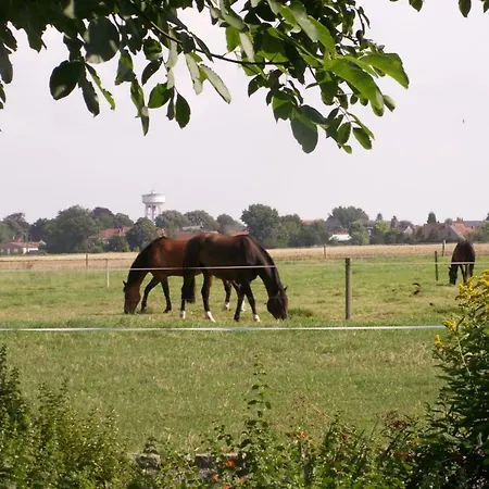 Hébergement de vacances Au Calme Avec Jardin, Wifi Et Parking Près De Lille - Fr-1-510-222